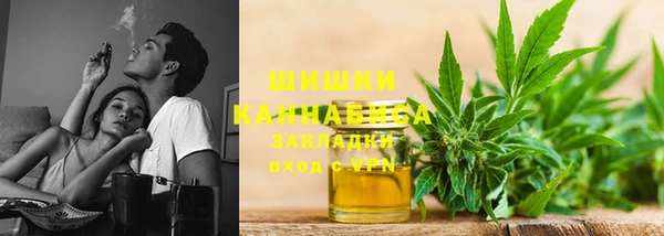 дмт Инсар