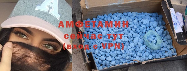 дмт Инсар
