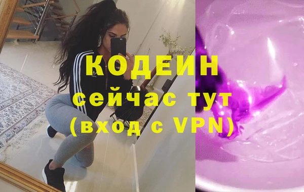 дмт Инсар