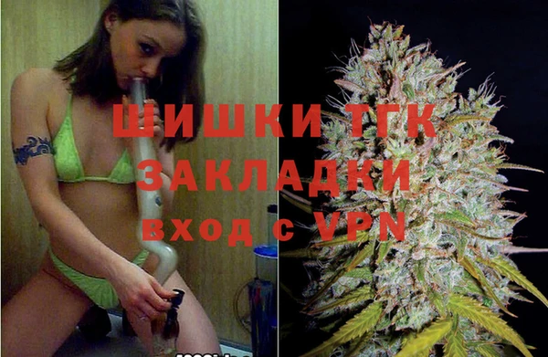 дмт Инсар