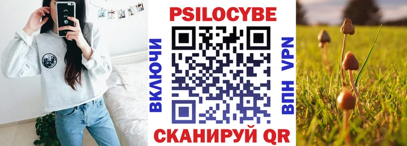 Купить закладки  Заречный  Псилоцибиновые грибы прущие грибы 